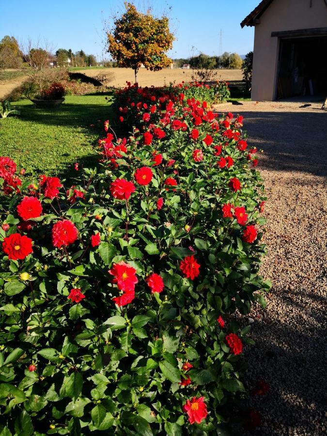 Bruailles La Ferme De La Terve B&B 외부 사진